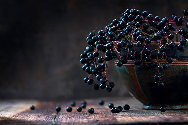 Researched Evidence of Elderberry Syrup Benefits by Catherine Steele, PhD